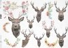 papier decoupage głowy, poroża jelenia*head, antlers deer*cabezas, cuernos de venado*головы, оленьи рога*Köpfe, Hirschgeweihe